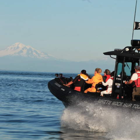 white rock seatours