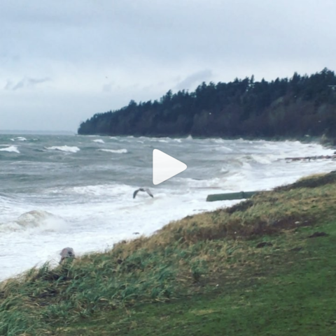 White Rock wind - Photo Credit IG mojibou